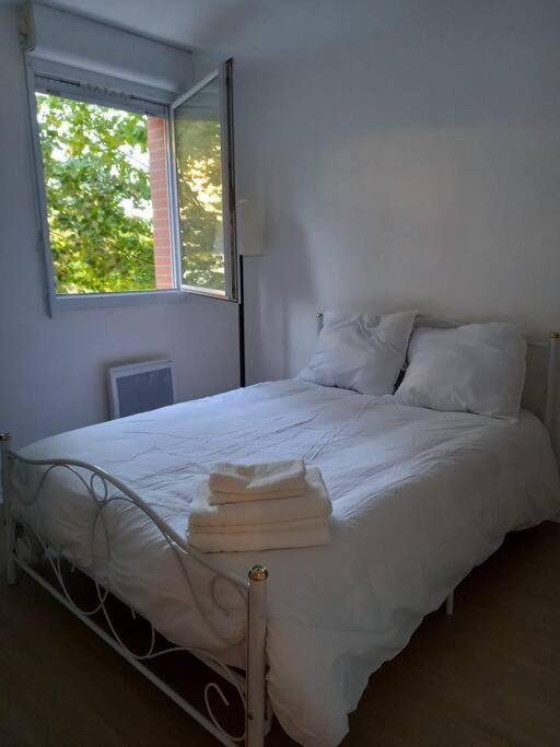 Appartement Cosy Cugnaux ภายนอก รูปภาพ